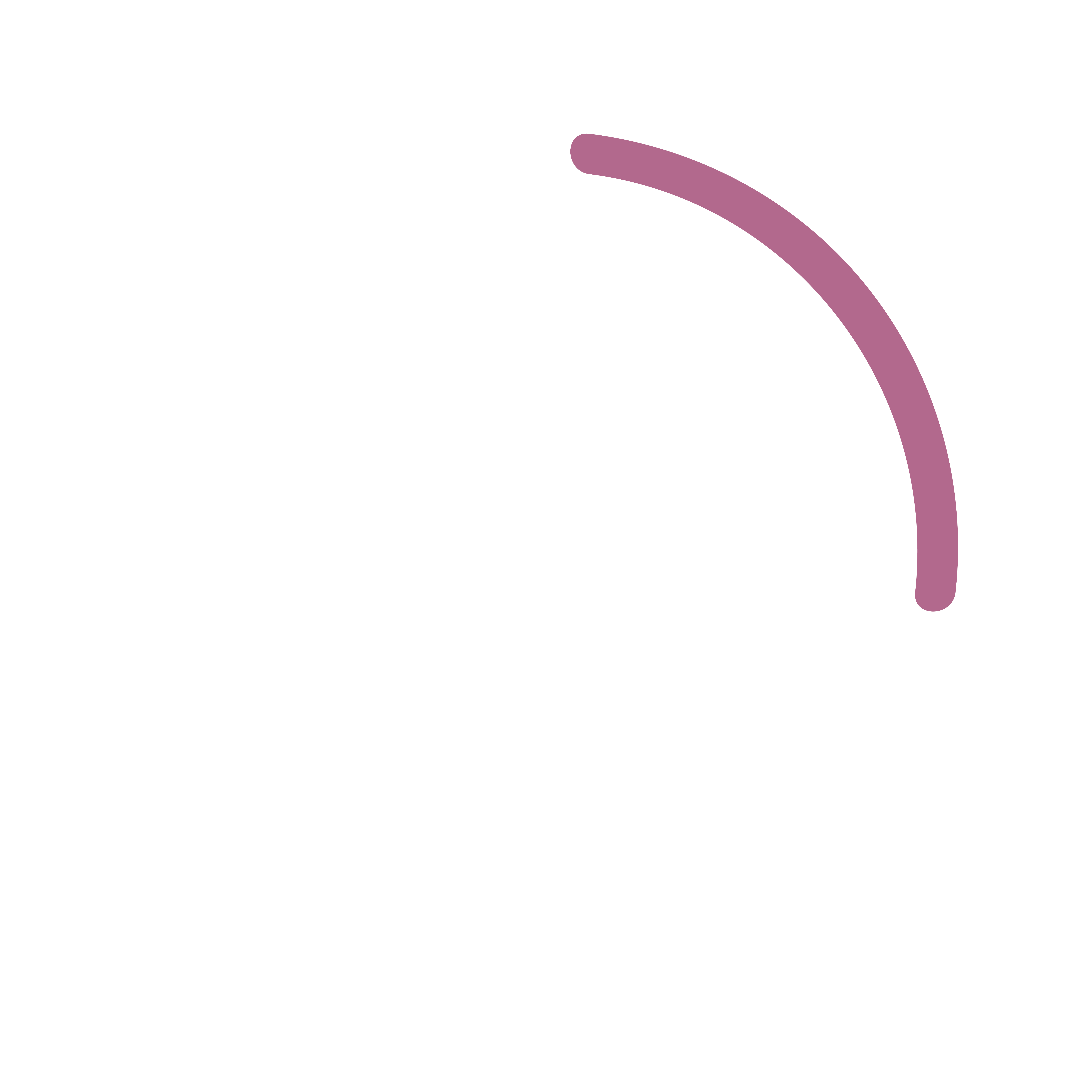 Flagship icon