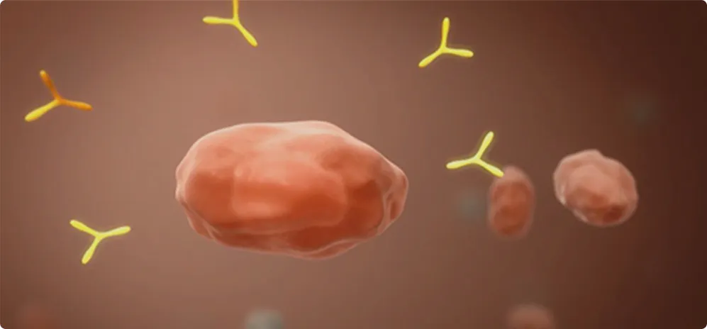 Video thumbnail: How BENLYSTA works