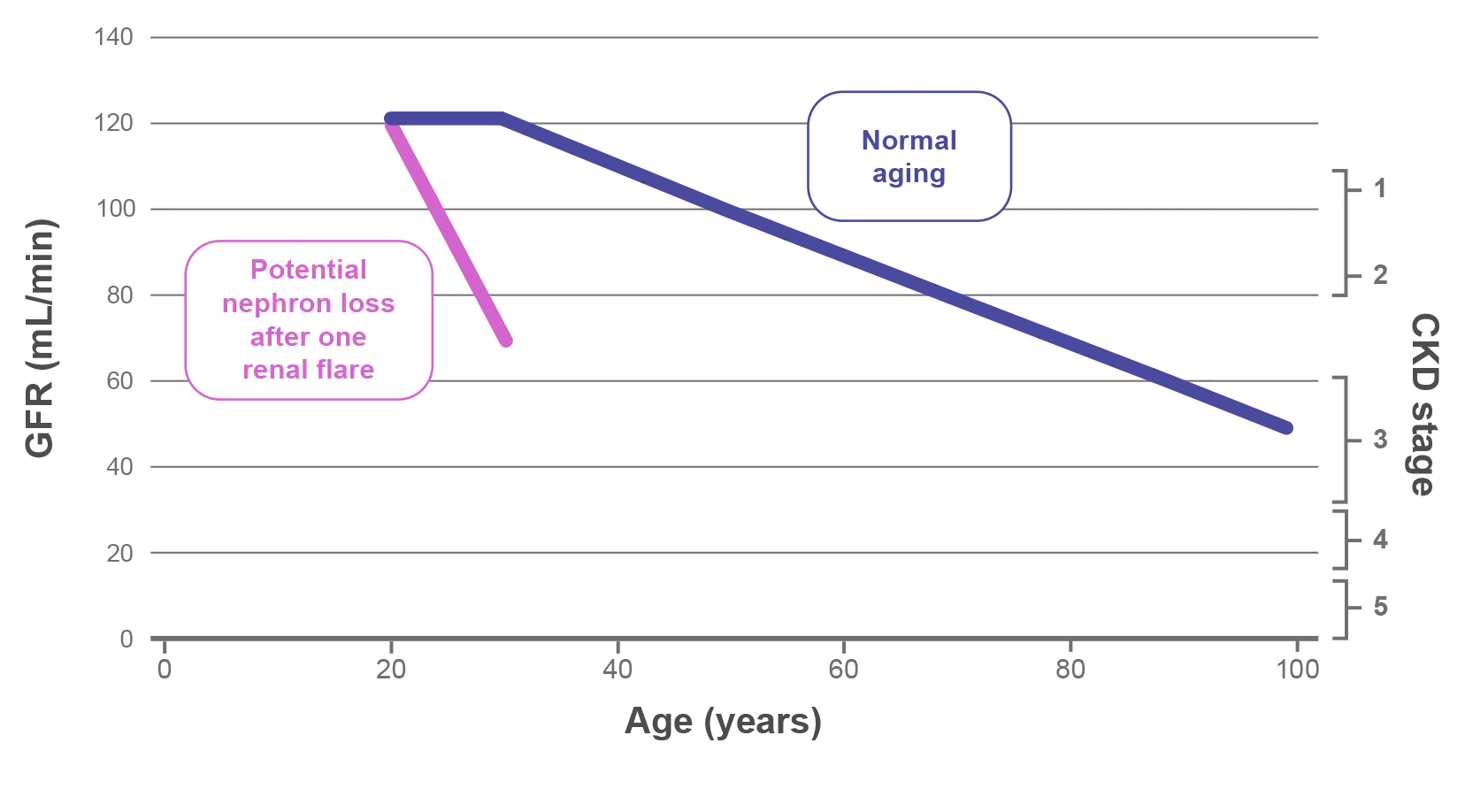 Chart showing how just one renal flare could shorten a kidney's lifespan by decades