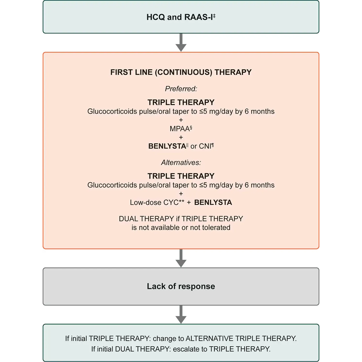 Select treatment algorithm from the 2024 ACR guidelines for lupus nephritis Select treatment algorithm from the 2024 ACR guidelines for lupus nephritis