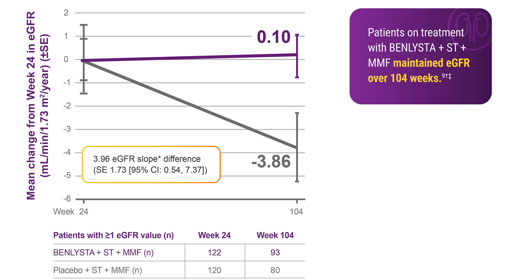 Patients on treatment with BENLYSTA + ST+ MMF maintained eGFR over 104 weeks