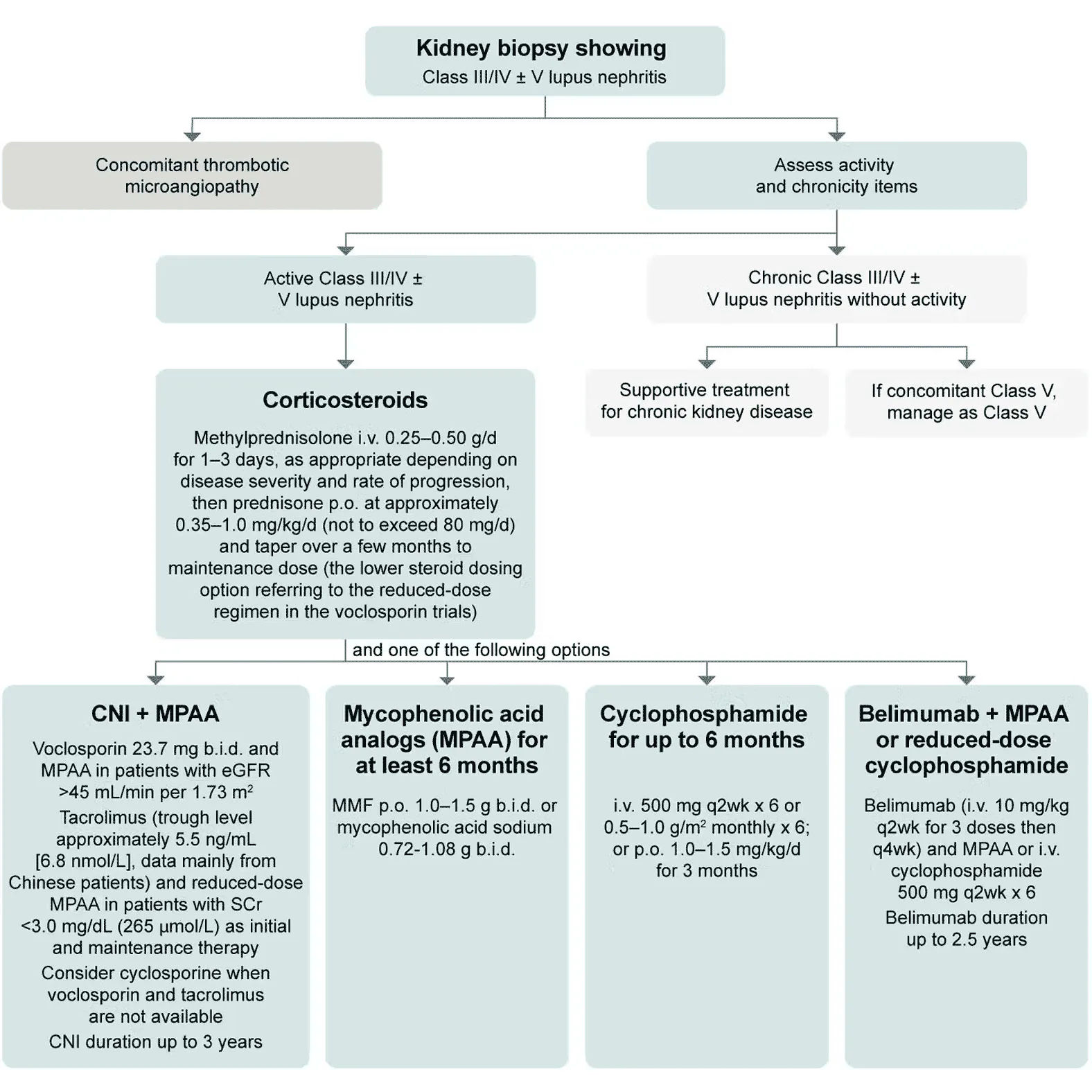 2024 KDIGO-recommended approach for initial therapy of active Class III/IV lupus nephritis 2024 KDIGO-recommended approach for initial therapy of active Class III/IV lupus nephritis