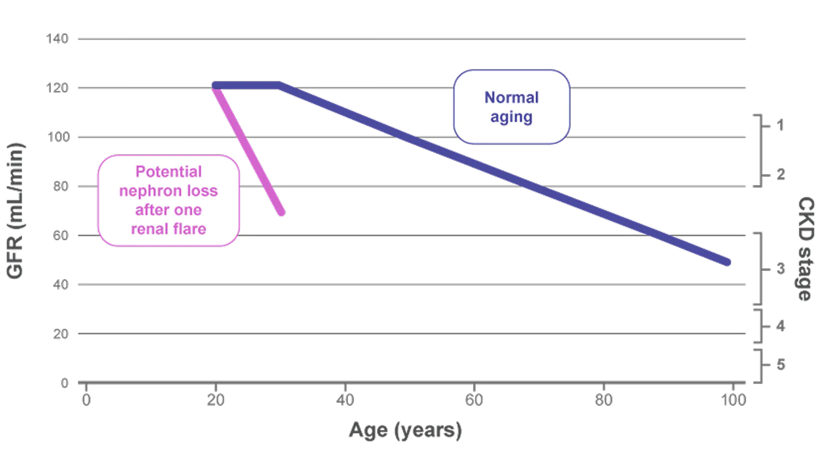 Chart showing how just one renal flare could shorten a kidney's lifespan by decades