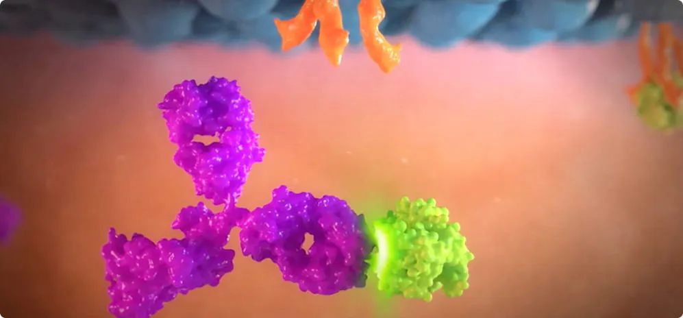 Watch a video about the mechanisms behind lupus disease activity and how BENLYSTA targets the disease