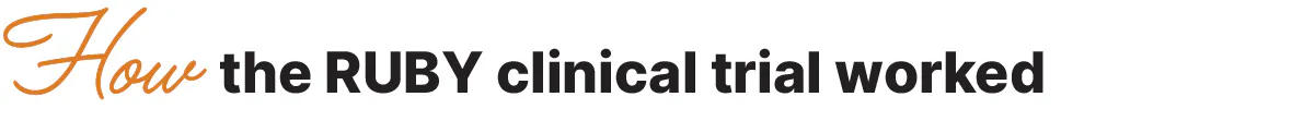 How the RUBY clinical trial worked How the RUBY clinical trial worked