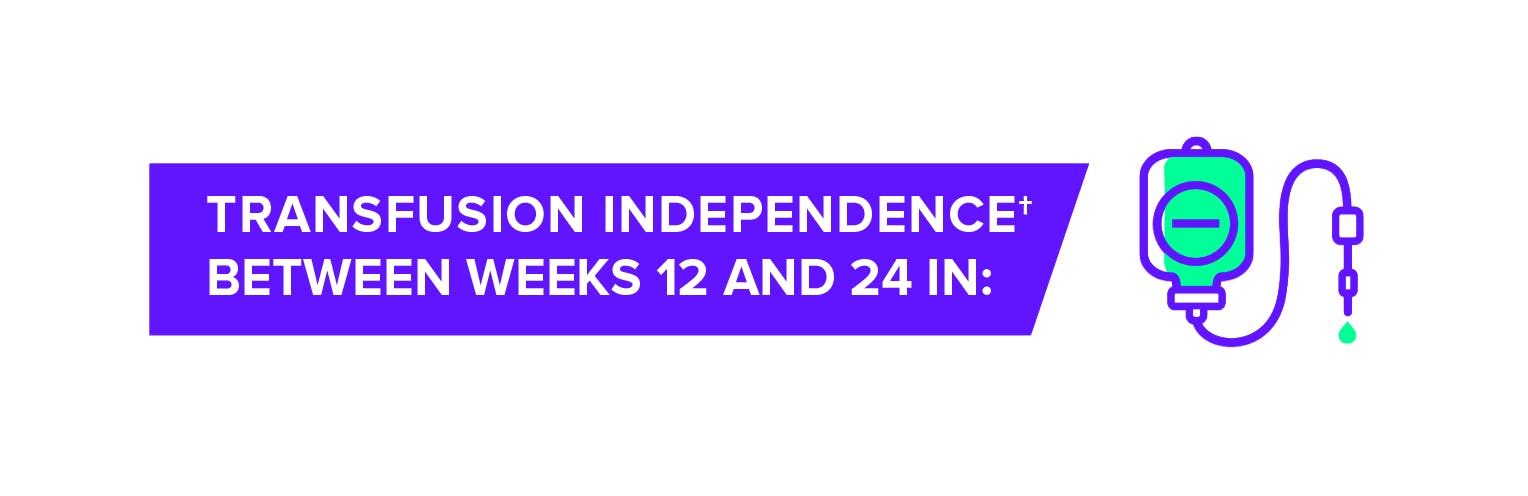 Transfusion independence between weeks 12 and 24