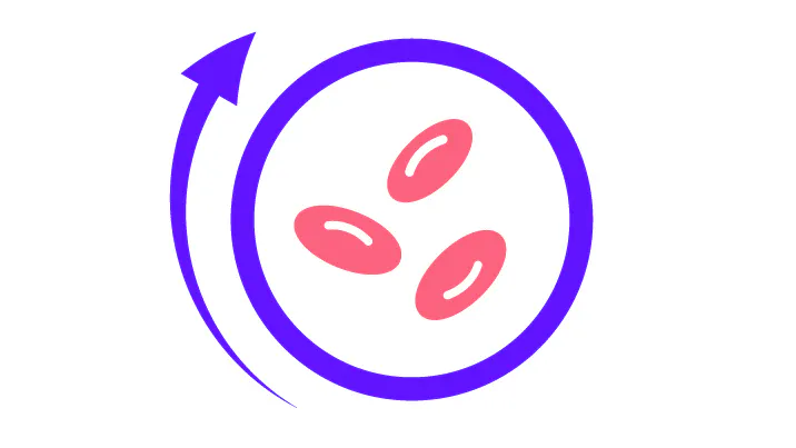 OJJAARA (momelotinib) is believed to target the overactive ACVR1 pathway, which may help support the body to increase red blood cell production