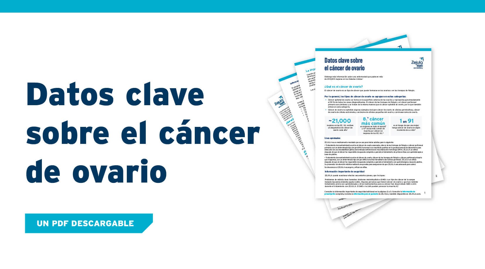 PDF de datos clave sobre la enfermedad