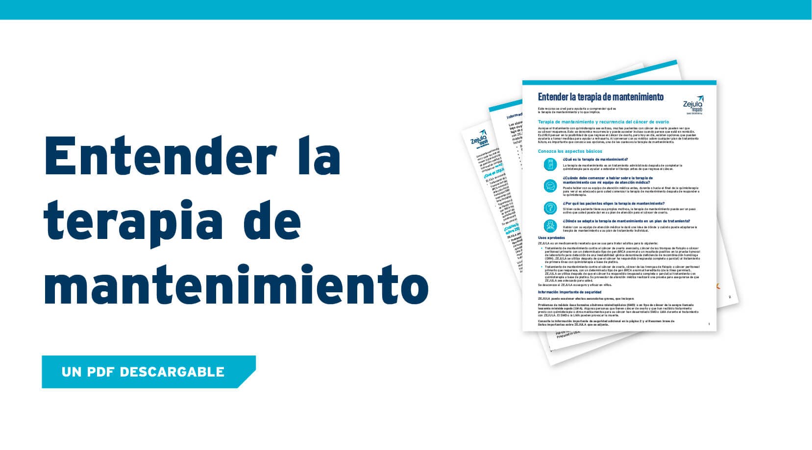 PDF de cómo entender la terapia