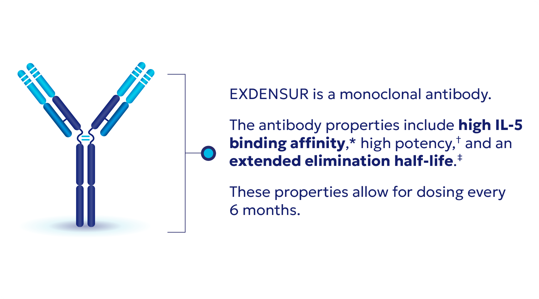 EXDENSUR by design EXDENSUR by design