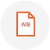 AIS flashcard PDF icon