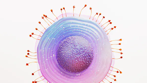 Illustration of varicella zoster virus