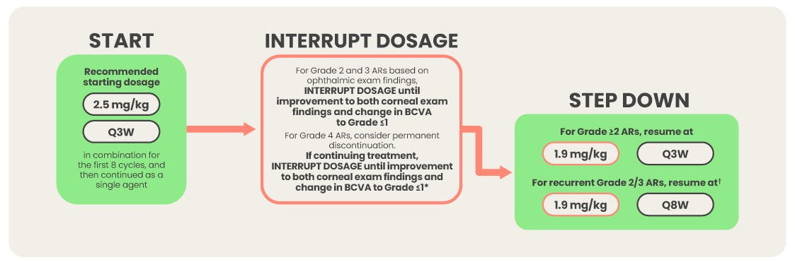 BLENREP dosage modifications chart.