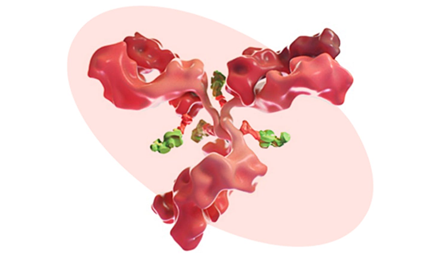 BLENREP mechanism of action graphic.