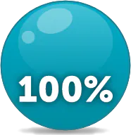 100% efficacy pie chart icon 100% pie chart icon