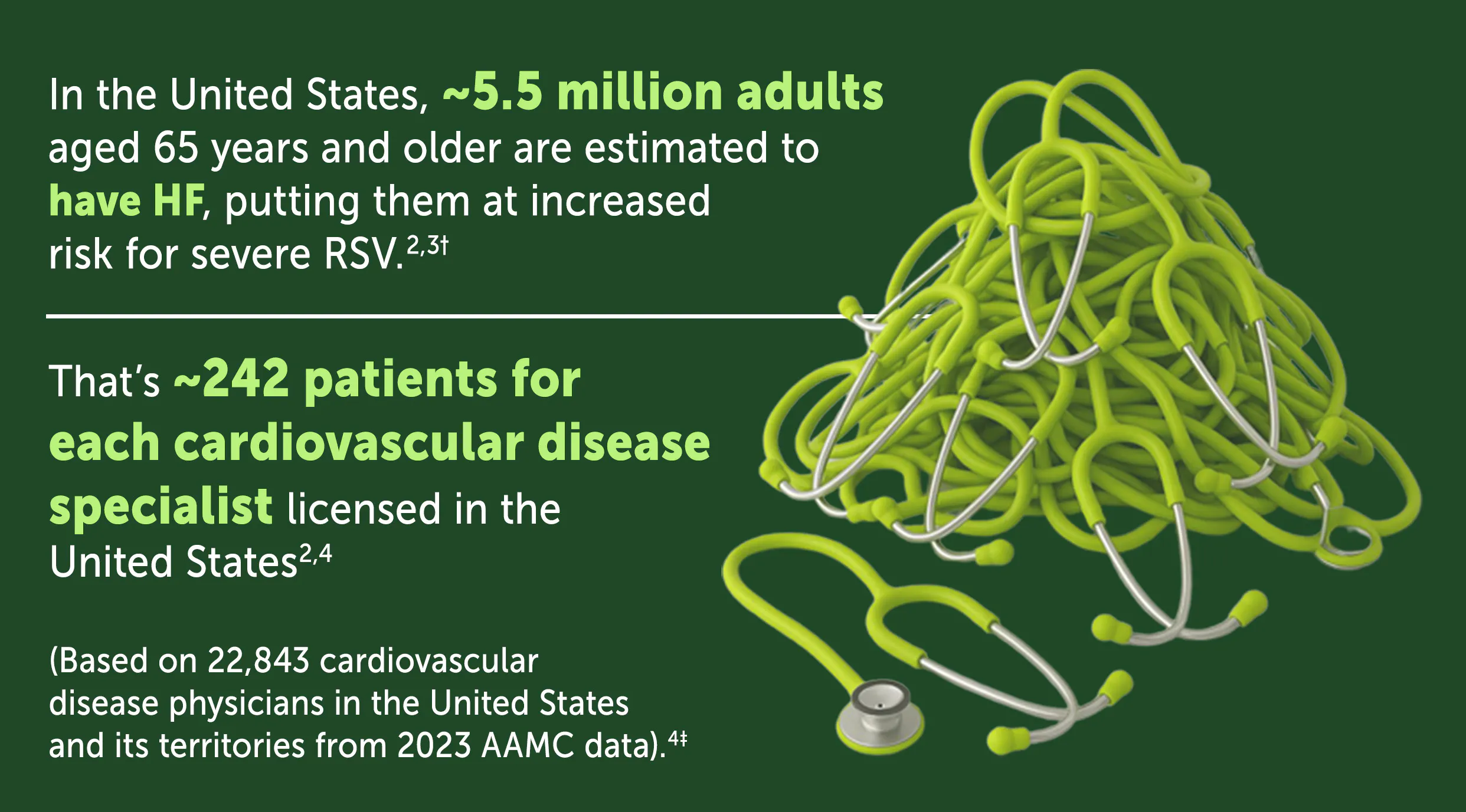 In the United States, approximately 5.5 million adults aged 65 years and older are estimated to have HF, putting them at increased risk for severe RSV