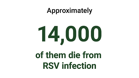  Approximately 14,000 hospitalized adults die from RSV infection