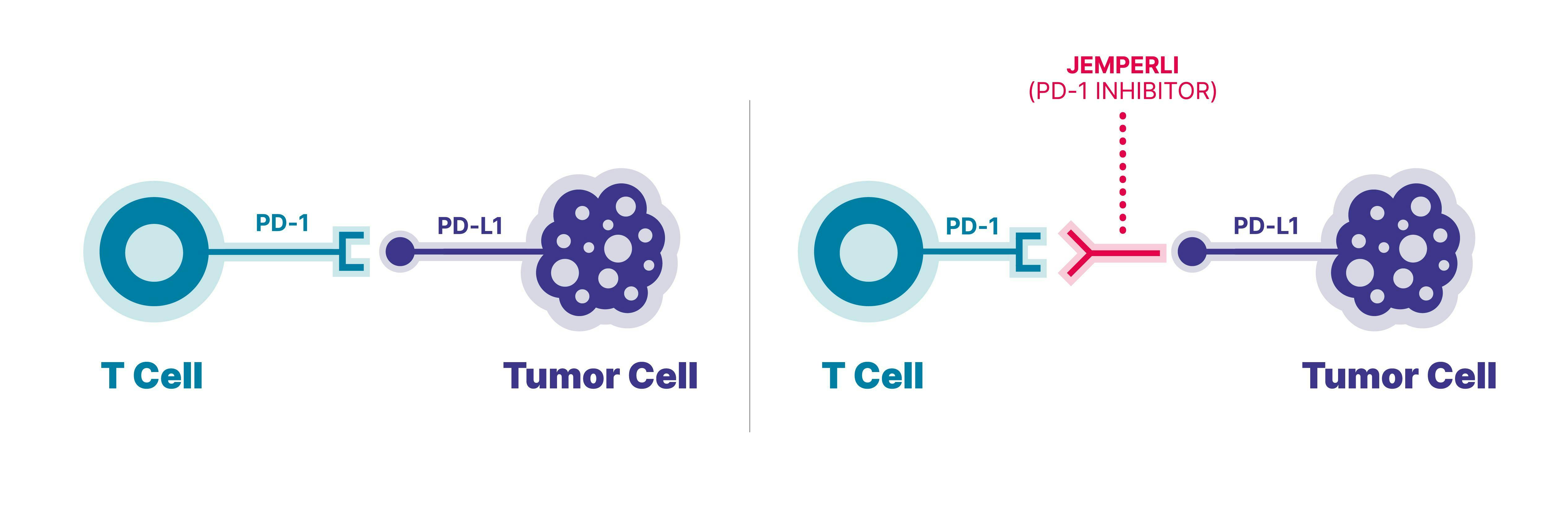 JEMPERLI mechanism of action