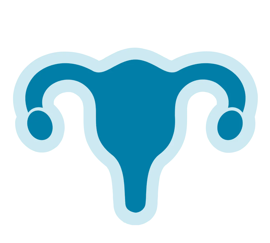 Uterus icon