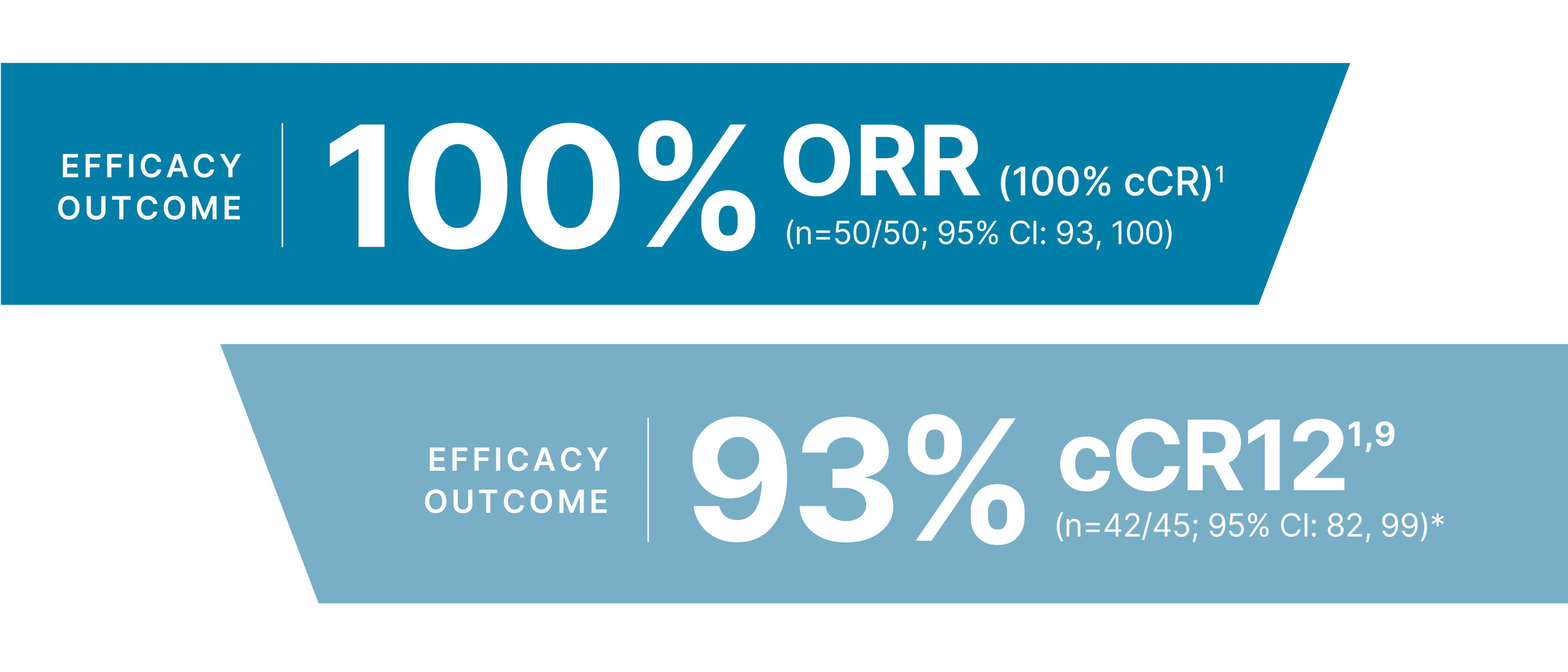 MSKCC 19-288 efficacy outcomes infographic.