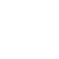 Noninvasive tests icon