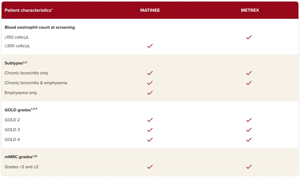 Patient characteristics in MATINEE and METREX
