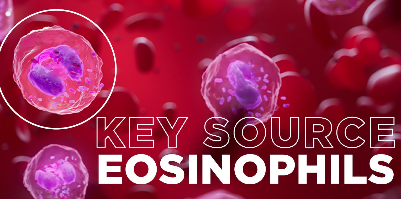 Key source: eosinophils