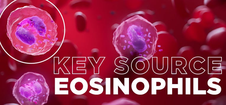 Key source: eosinophils