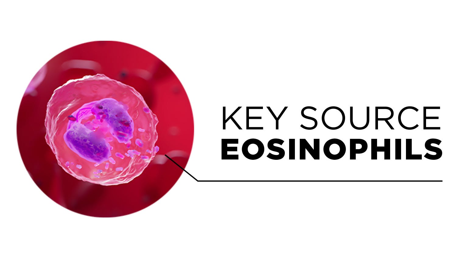 Key source - eosinophils