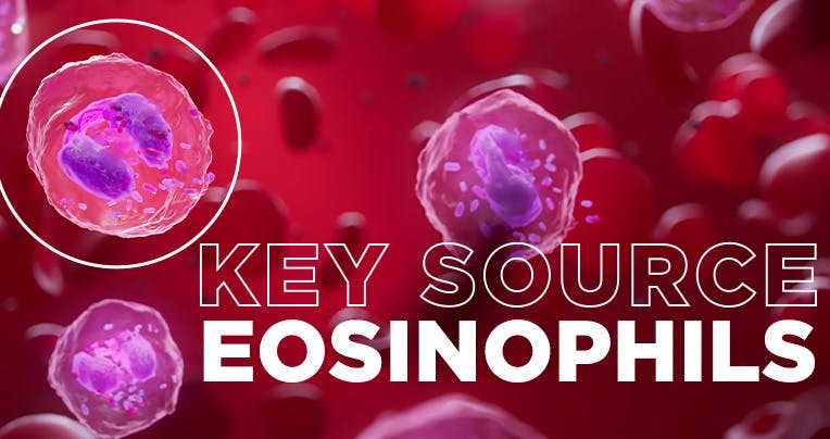 Key source: eosinophils