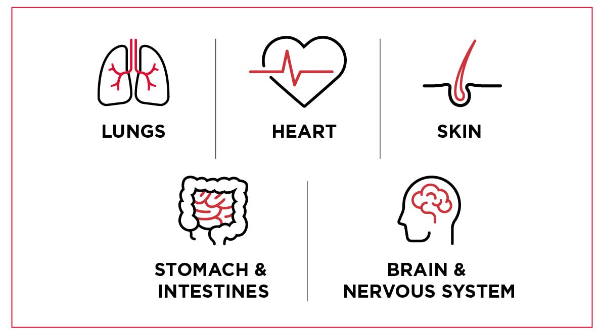 HES symptoms: lungs, heart, skin, stomach & intestines, brain & nervous system