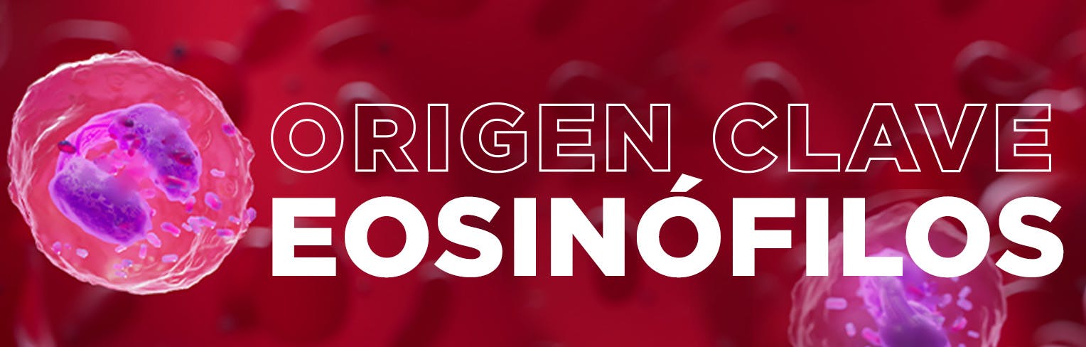 Los eosinófilos son un origen importante del asma eosinofílica grave 