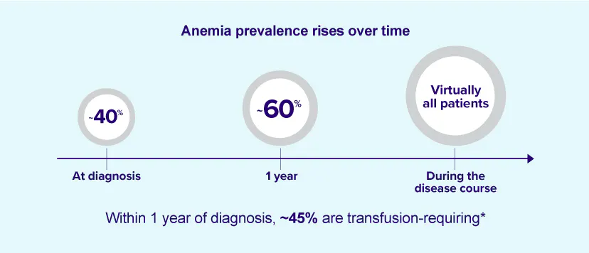 Anemia prevalence rising over time infographic.