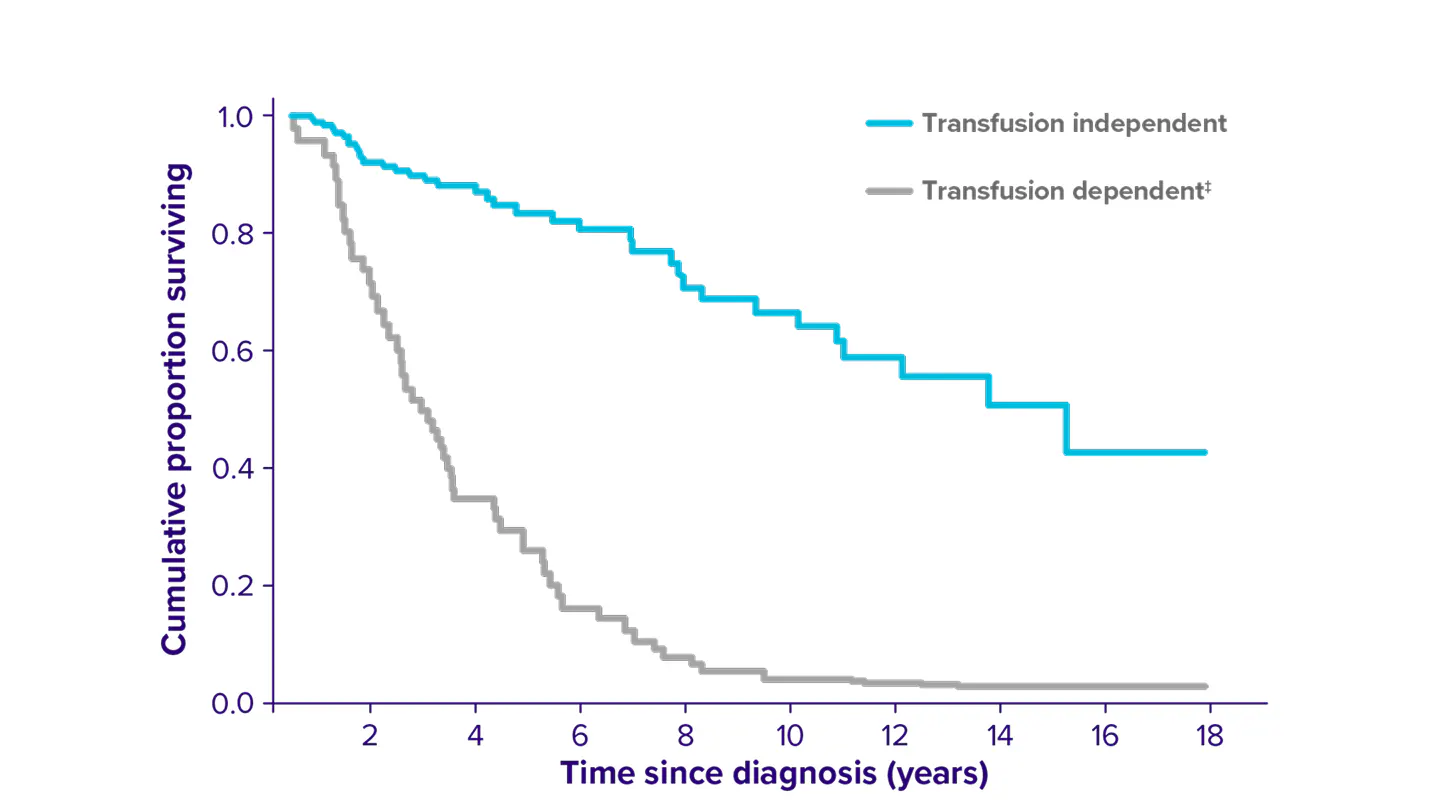 OS according to RBC transfusion dependency line graph.