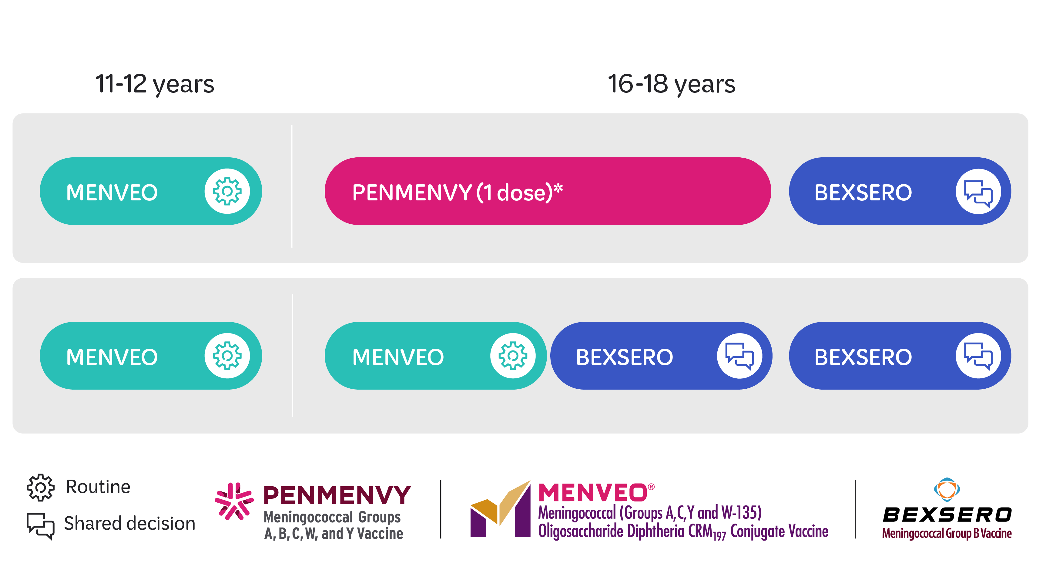 Vaccine Recommendations by Age Group Infographic showing vaccine recommendations by age group