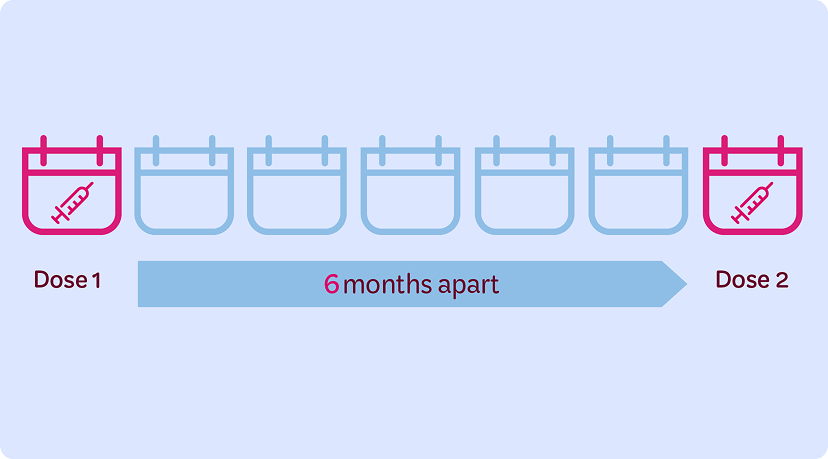 Two-Dose Vaccination Schedule Chart Infographic showing a two-dose vaccination schedule