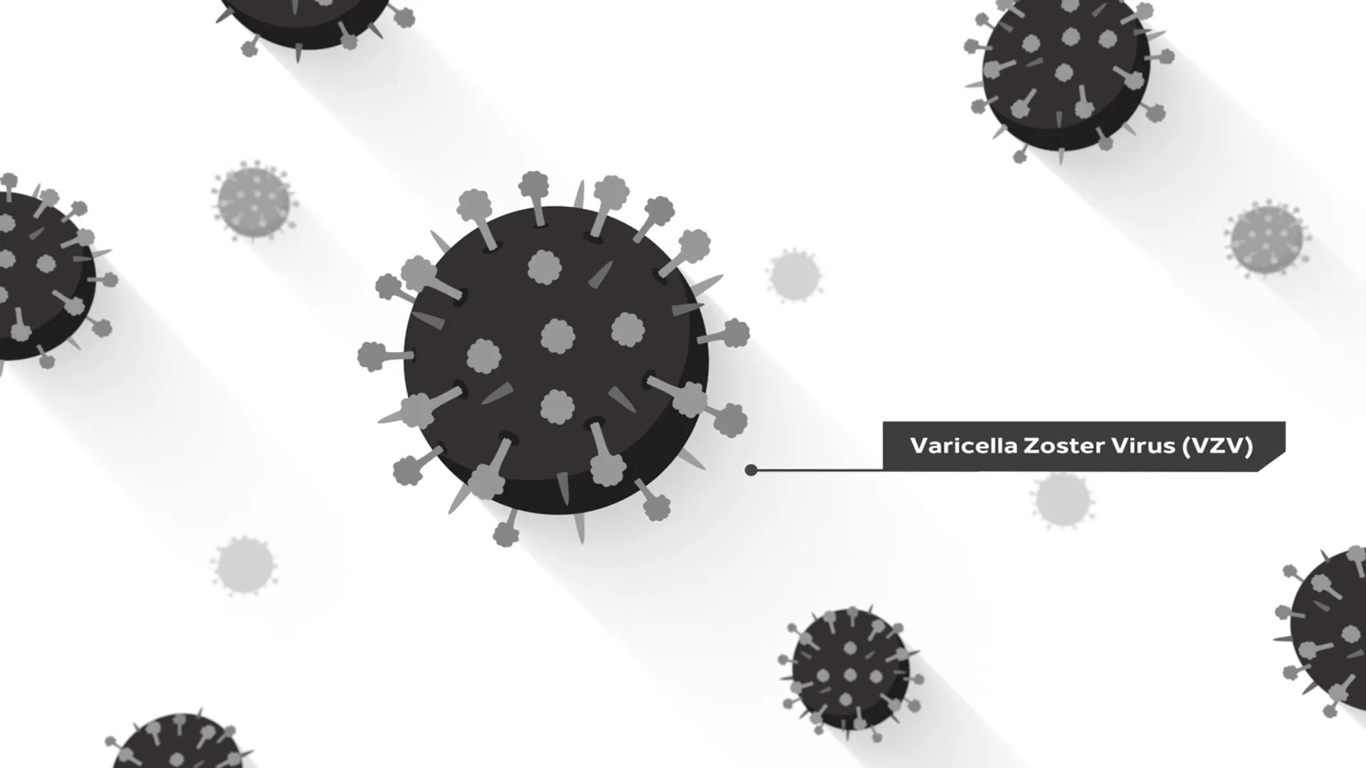 Video thumbnail: Mechanism of action