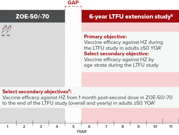 SHINGRIX long-term data results graphic