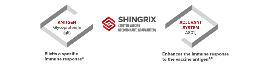 SHINGRIX mechanism of action