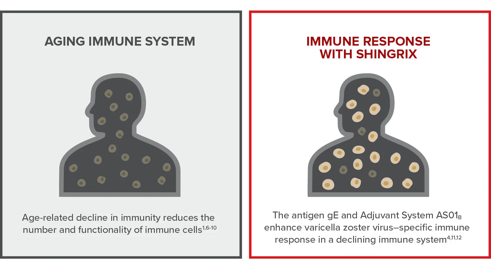 SHINGRIX and aging: immune response with and without SHINGRIX