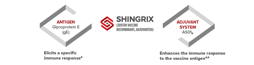 Image: SHINGRIX Mechanism of Action