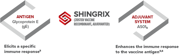 How SHINGRIX works infographic