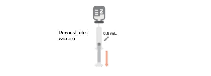 Image of SHINGRIX Reconstitution: Step 4