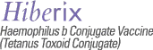 HIBERIX brand logo