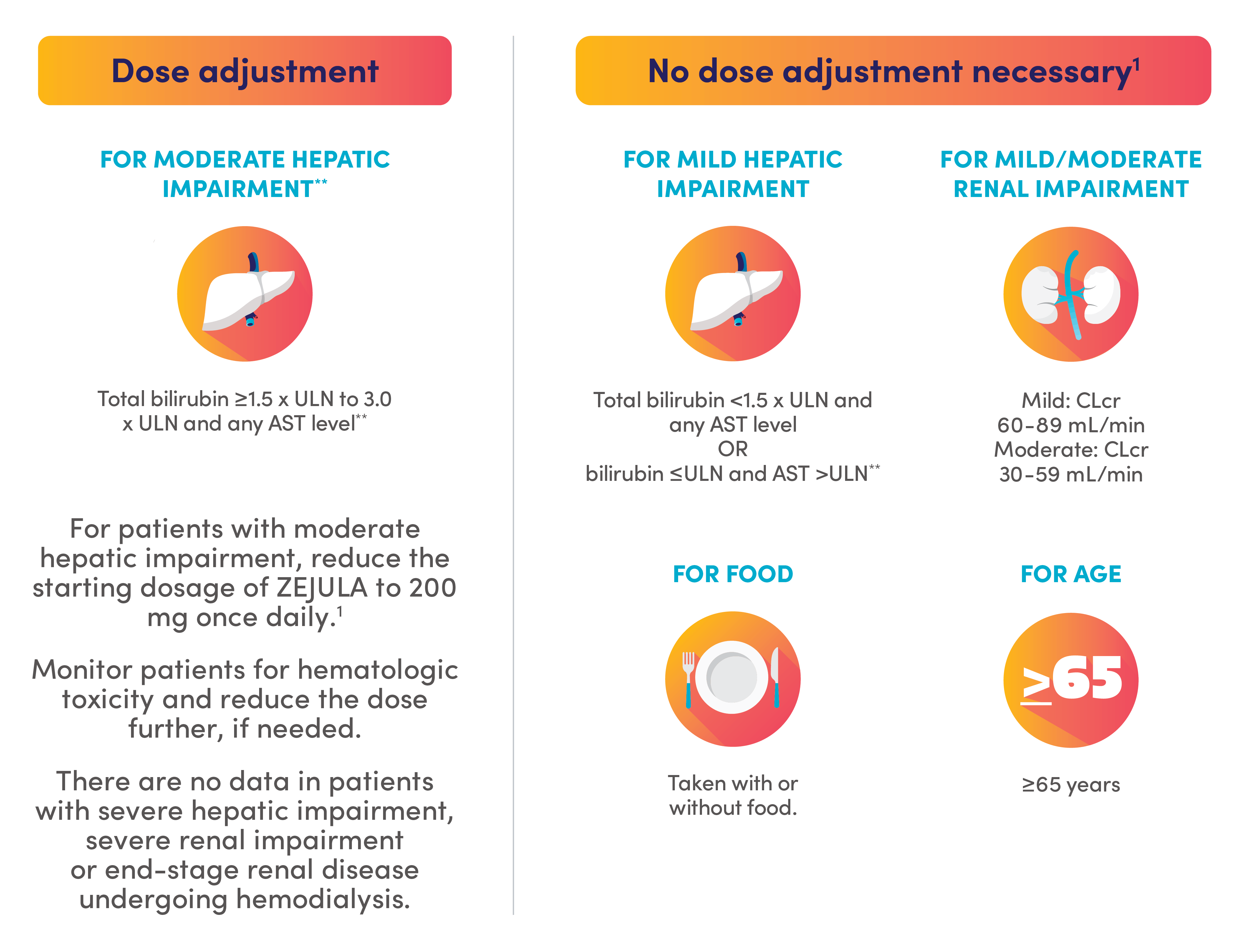ZEJULA dose adjustments infographic