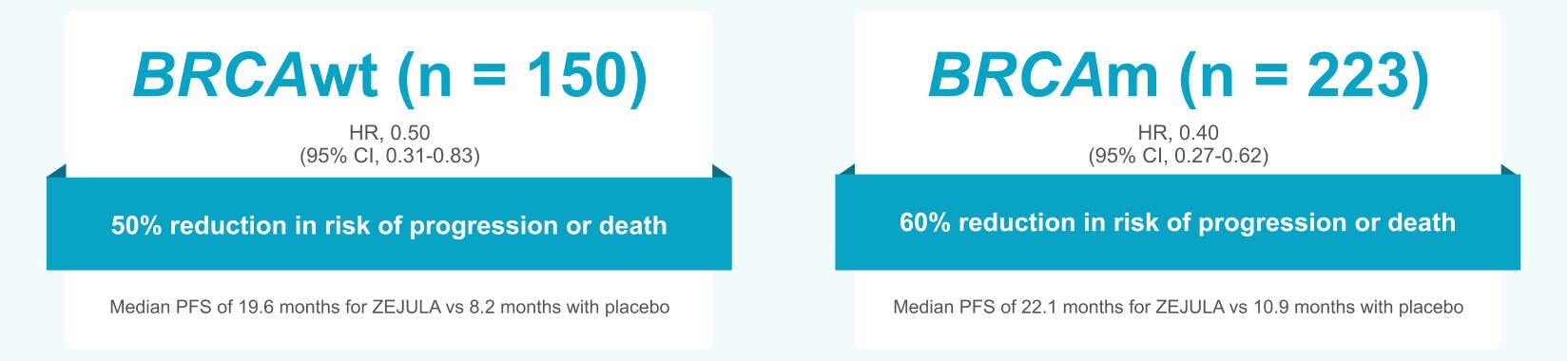 BRCAwt and BRCAm subgroups graphic BRCAwt and BRCAm subgroups graphic