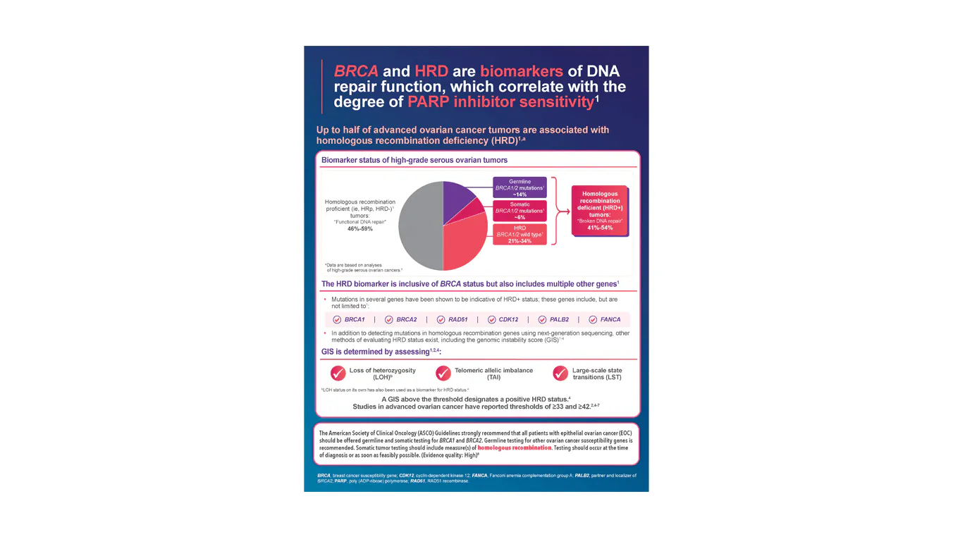 ZEJULA HRD Diagnostic Brochure. ZEJULA HRD Diagnostic Brochure.