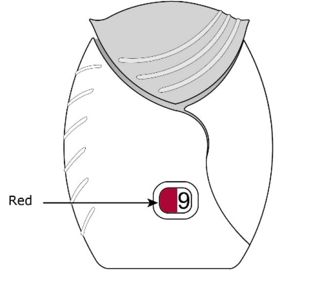 How To Use Inhaler Refill Illustration How To Use Inhaler Refill Illustration