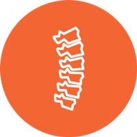 Über das Multiple Myelom