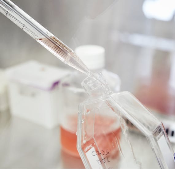 Multiple Myeloma makes us family Multiple Myeloma makes us family